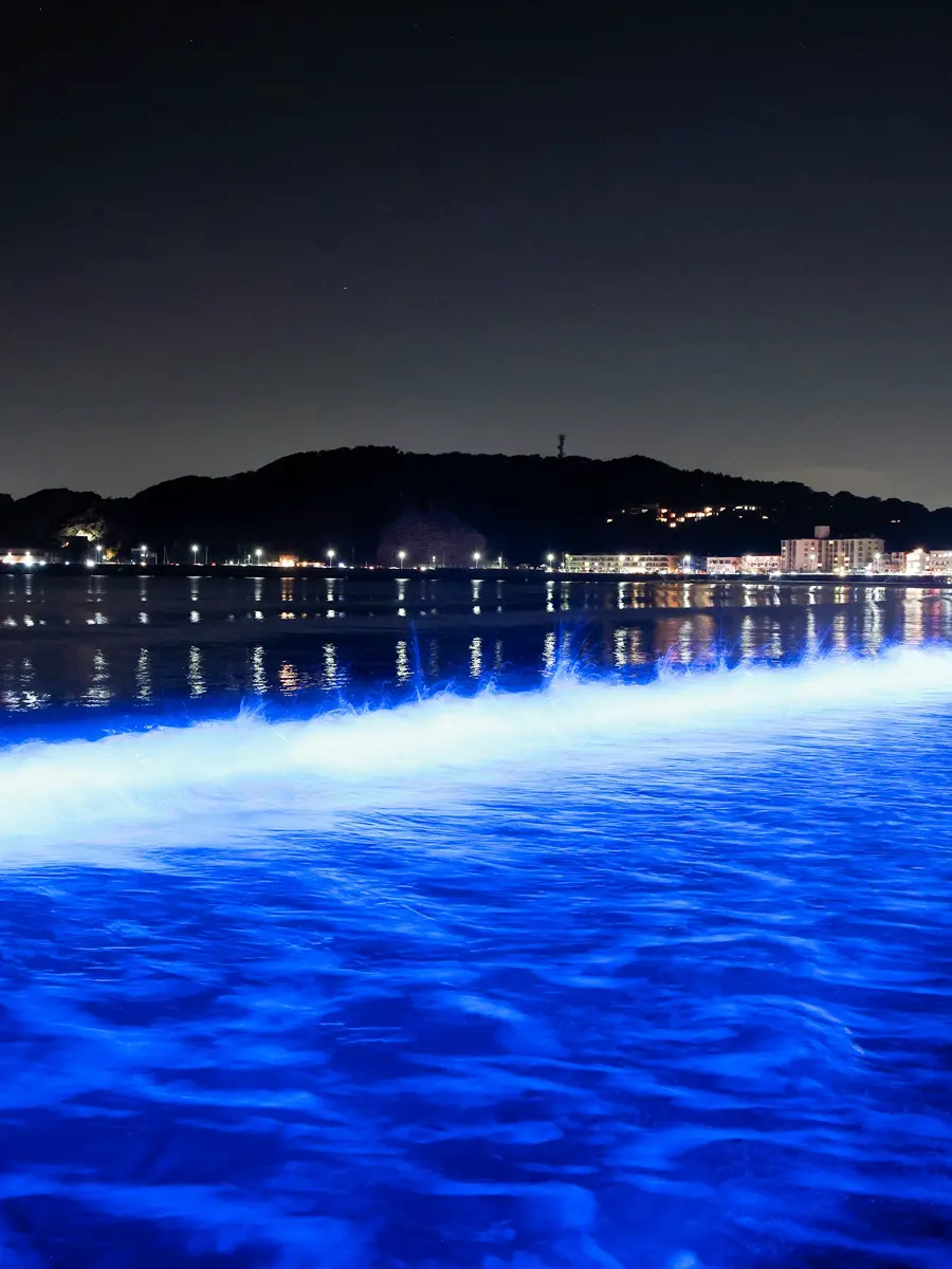 アートイベントNIGHT WAVEのイメージ