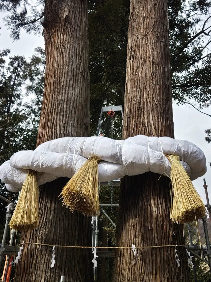宮結び神縄プロジェクトのイメージ