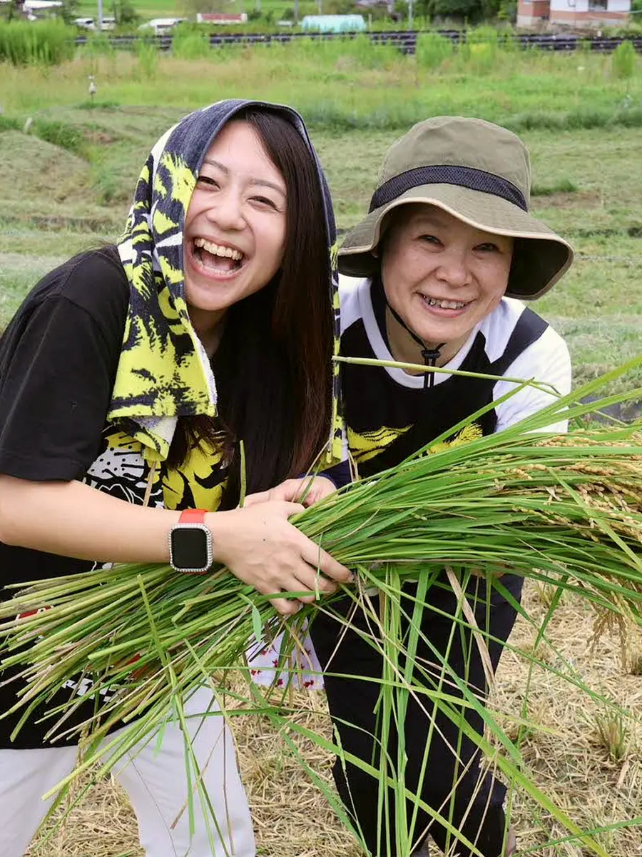 農業体験と収穫祭コメサンタフェスのイメージ